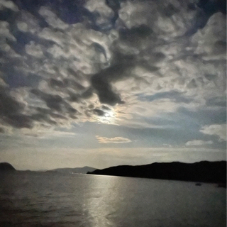 釣り友募集🎣