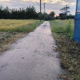 広々農地 - 龍ケ崎市