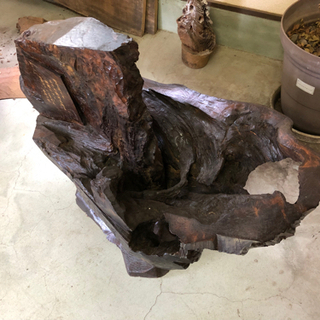 木の根のオブジェ　その3