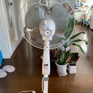 扇風機の画像