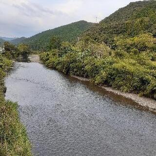 一緒に軽登山やハイキングしませんか？