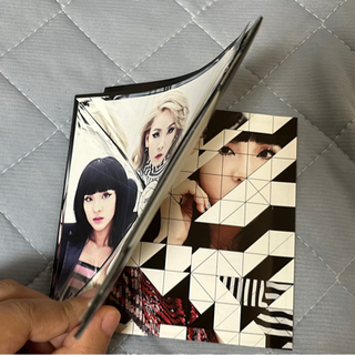 ☆ 2NE1 初回生産限定盤(2CD+DVD+PHOTOBOOK)の画像