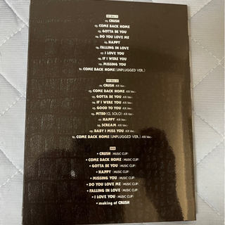 ☆ 2NE1 初回生産限定盤(2CD+DVD+PHOTOBOOK)の画像