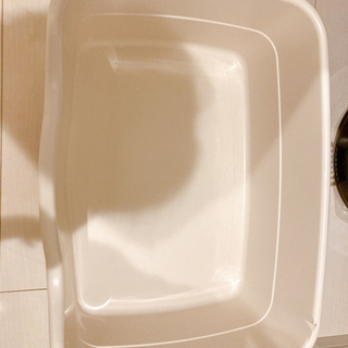 猫トイレの画像