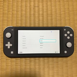 中古 ケースセット ニンテンドースイッチライト Nintendo Switch lite グレー ゲオ安心プラス保証2023.03.23までの画像