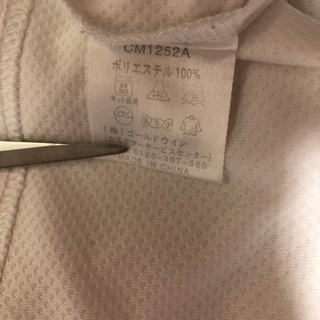 チャンピオン ロゴTシャツ メンズ Lの画像