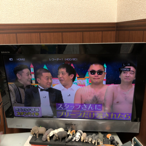 SONY BRAVIA 2010年　たぶん22インチ