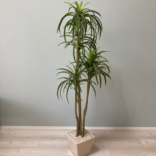 【受渡し者確定済み】人工観葉植物