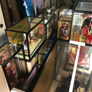 雛人形、5月人形の画像