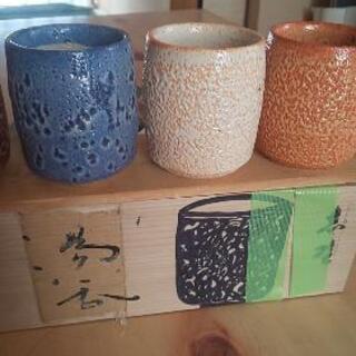 湯飲み５個セット！の画像