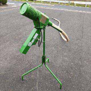 旧Lyceeリセオフィシャルプロモまとめ売りバラ売り可能