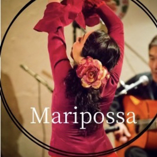 フラメンコ朝のクラス募集🌹maripossaマリポッサフラメンコ教室