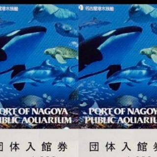 名古屋港水族館 入館券 チケット 2枚  Ｅ