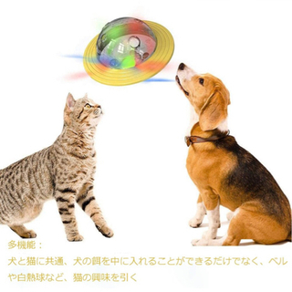 ペット　おもちゃの画像