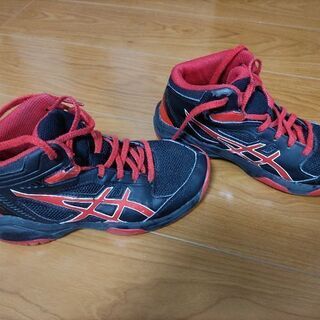 ダンクショット21cm