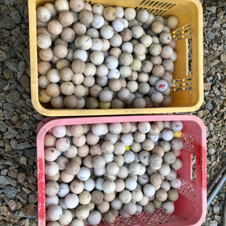終了❗️1カゴ300円‼️⛳️ゴルフボール⛳️