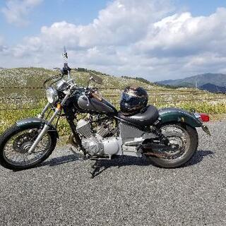 ビラーゴ250 ツートンカラー　希少　実動車