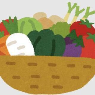 無農薬の野菜を売っているお店