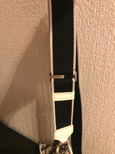 DIOR メンズレディース　トロッター柄　ショルダーバッグ