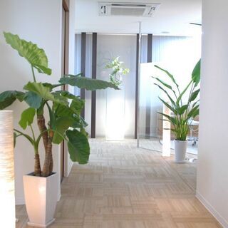 歯科アシスタント（資格・経験は必要ありません）急募！明るいあなたをお待ちしています。の画像