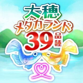 秋のメダカ ２３品種 各１０００円セット（9/25更新）
