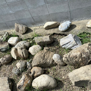 庭石　無料でお譲りします