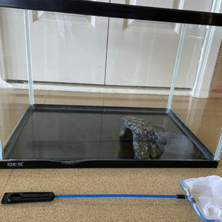 新品水槽　カルキ、網つき