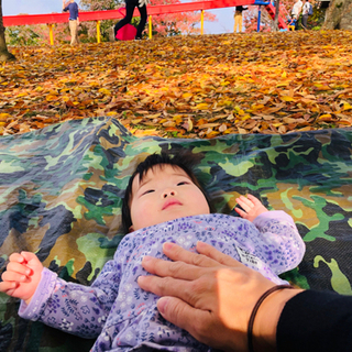 撮影付き橿原ピクニックベビマin新沢千塚古墳群公園の画像