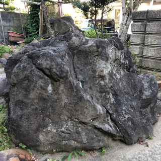 【庭石】欲しい方にさしあげます(^^)