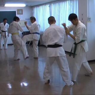 幸手市で始めるサバキカラテに螳螂拳の技法を加えた新武術の画像