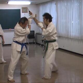 幸手市で始めるサバキカラテに螳螂拳の技法を加えた新武術の画像