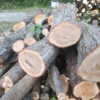 薪に最適、広葉樹原木格安販売の画像