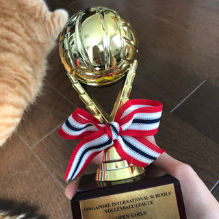 小さいトロフィー🏆（バレーボール）
