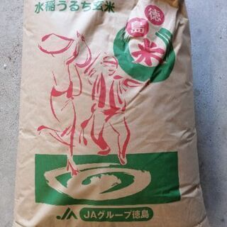 令和2年産　徳島県産キヌヒカリ　玄米30㌔