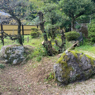 庭石