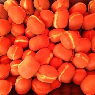 あなたのお店でカステラ（ベビーカステラ）を売りませんか