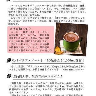 プロが選んだJ'sショコラショー紅参 1kg ココア 送料無料 高麗人参 ※画像要確認！の画像