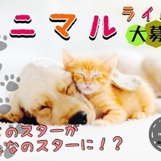 おうちのスターがみんなのスターに！？アニマルライバー募集！