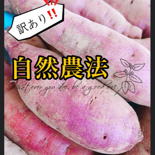 【少し訳あり自然農法】紅あずま＋安納芋
