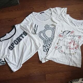 Tシャツ ３枚セット