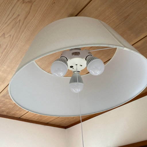 【お取り引き決定しました！】電気　　三年間使用