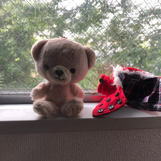 【引渡し済み】の画像