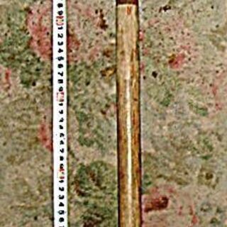 お庭の手入れに小型スコップと刈込挟は如何でしょう？