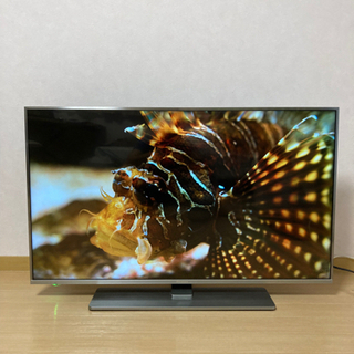 美品！(保証付)Hisense 43型 4K液晶TV