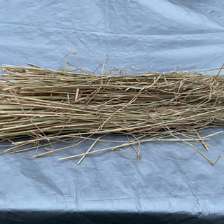 園芸用　ワラ