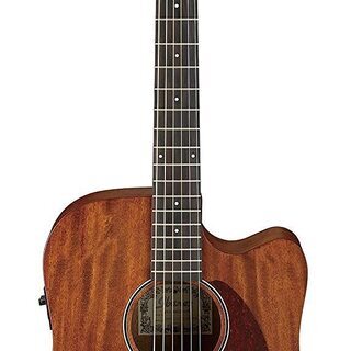 99%新しい Ibanez Acoustic (PU有り)