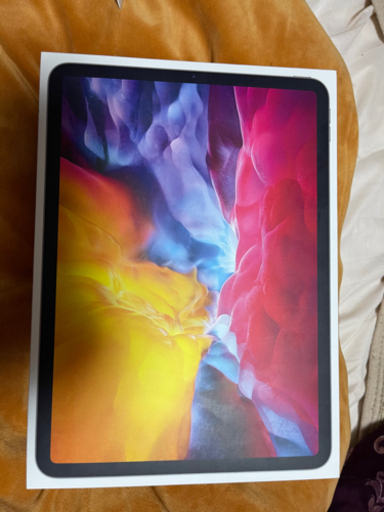iPadPro11インチ第2世代WiFiモデル 80000~63000円
