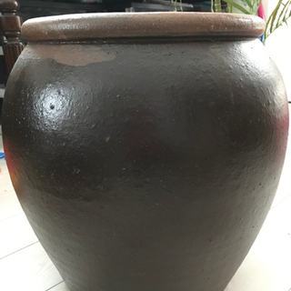 メダカ鉢・睡蓮鉢