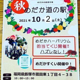メダカすくい＆ハーバリウム的あてくじ