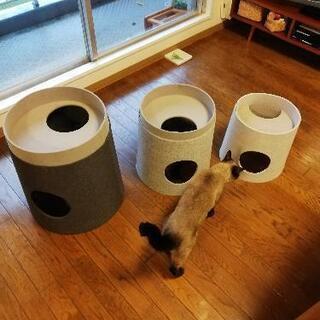 ねこ　キャットタワー　カインズ　手渡し希望の画像